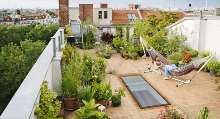 Small-Space Solutions: Thriving in Urban Gardens