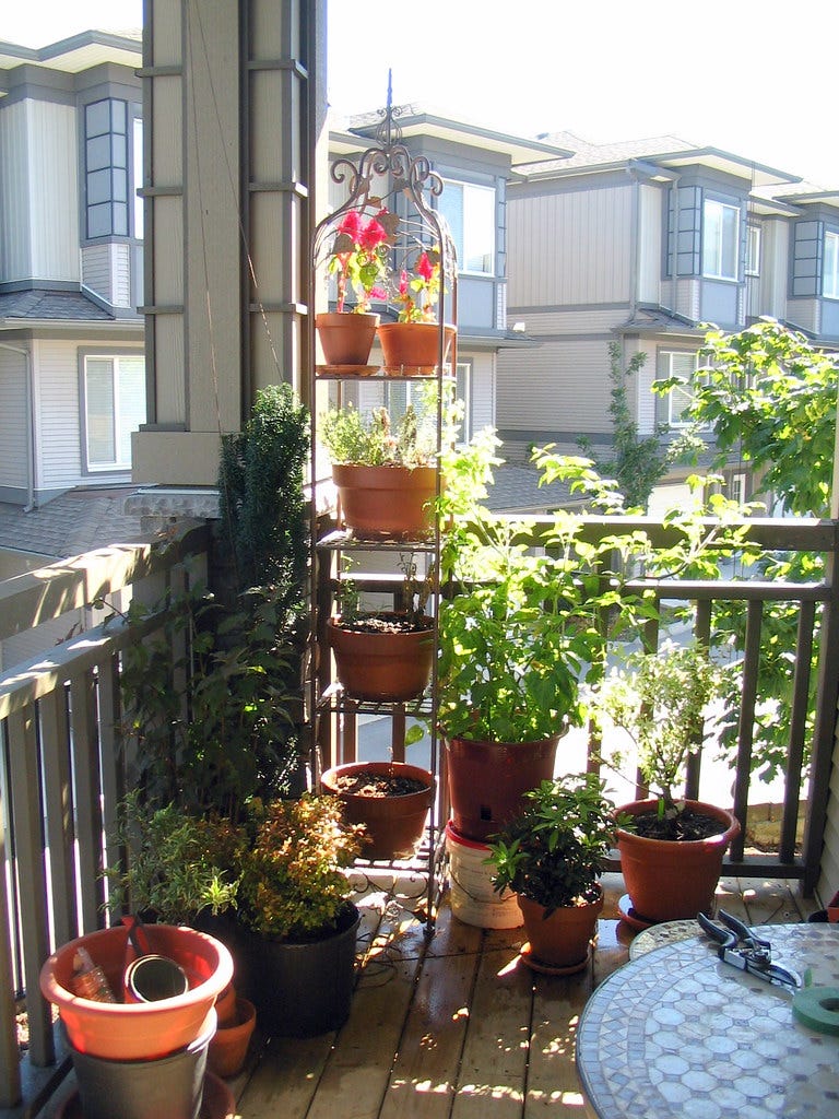 The Green Oasis Transforming Urban Balconies Into Gardens