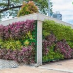 Vertical Gardening A Lush Approach To Urban Spaces