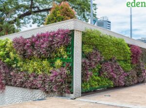 Vertical Gardening A Lush Approach To Urban Spaces